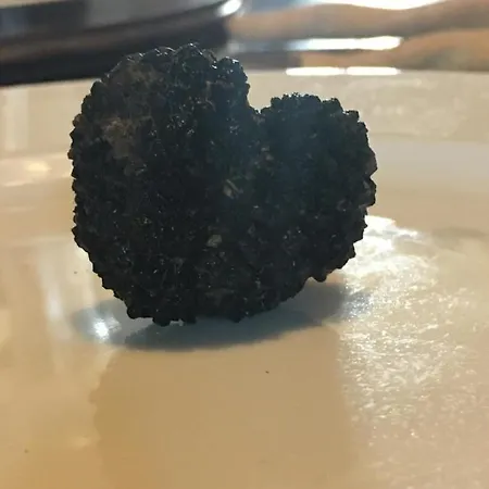 مزرعة للإقامة Cascina Vignole