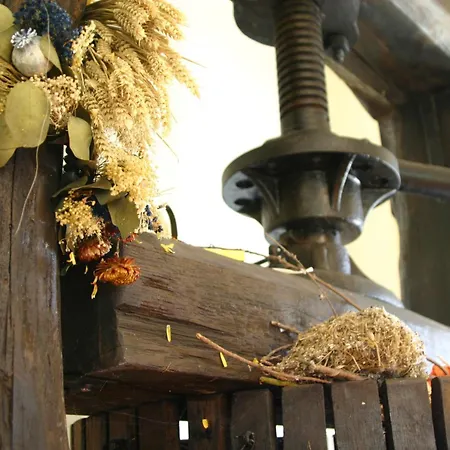 Cascina Vignole Montafia