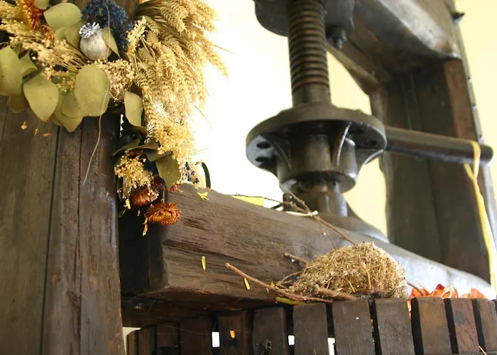 Cascina Vignole Montafia